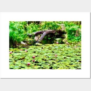 Water Lilies on the Pond Posters and Art